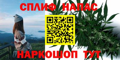дурь Краснознаменск