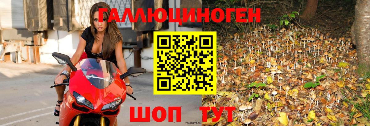 Холмск  Галлюциногенные грибы мухоморы  Вход с VPN 