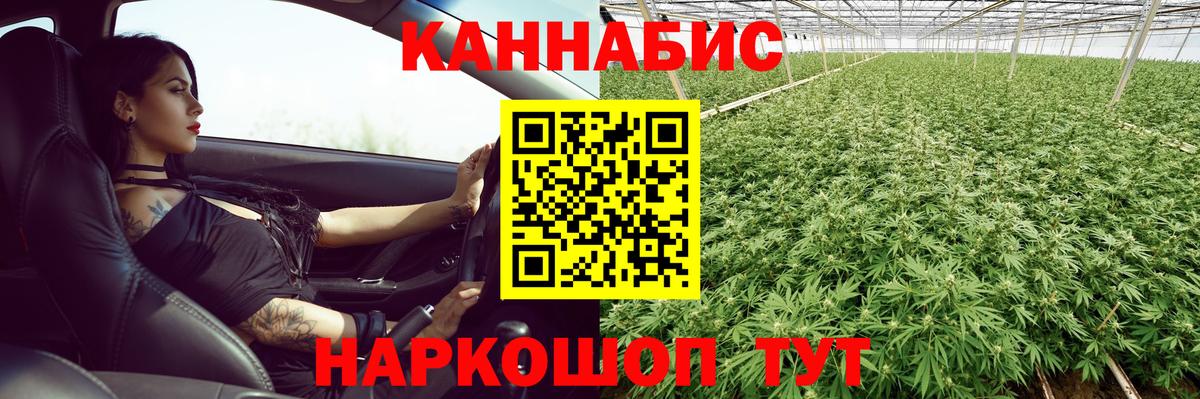 Конопля гибрид  Бошки марихуана OG Kush  Каннабис конопля  Холмск  Шишки марихуана OG Kush  Вход с VPN 